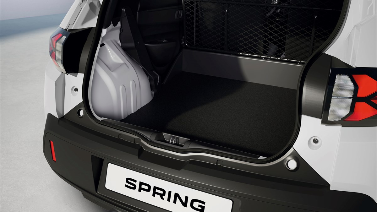 Dacia Spring – Cargo