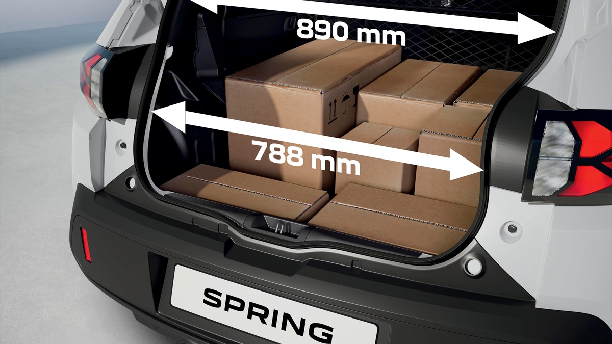 Dacia Spring – Cargo